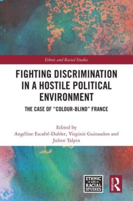 Fighting Discrimination in a Hostile Political Environment : The Case of “Colour-Blind” France