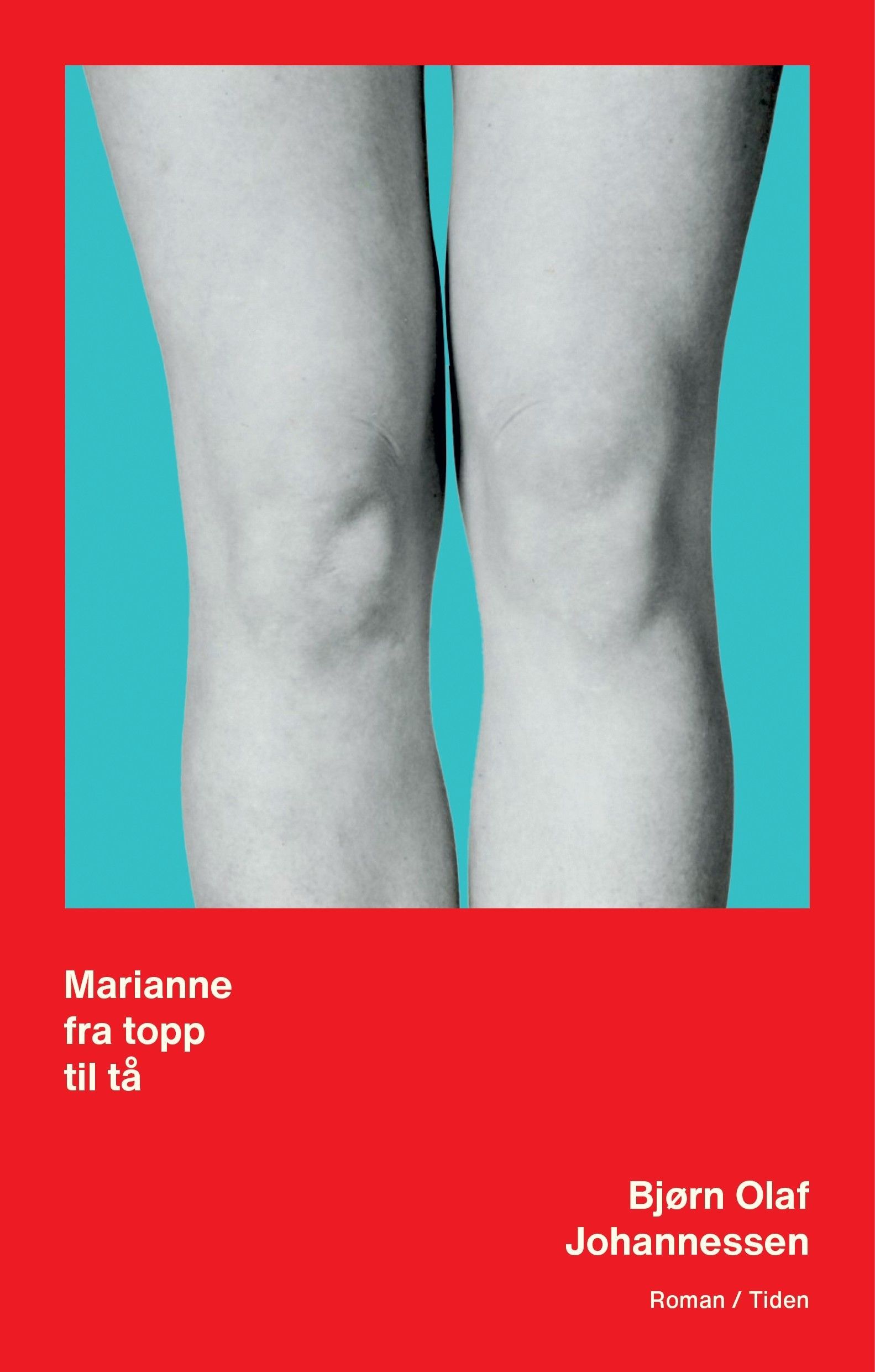 Marianne fra topp til tå : roman