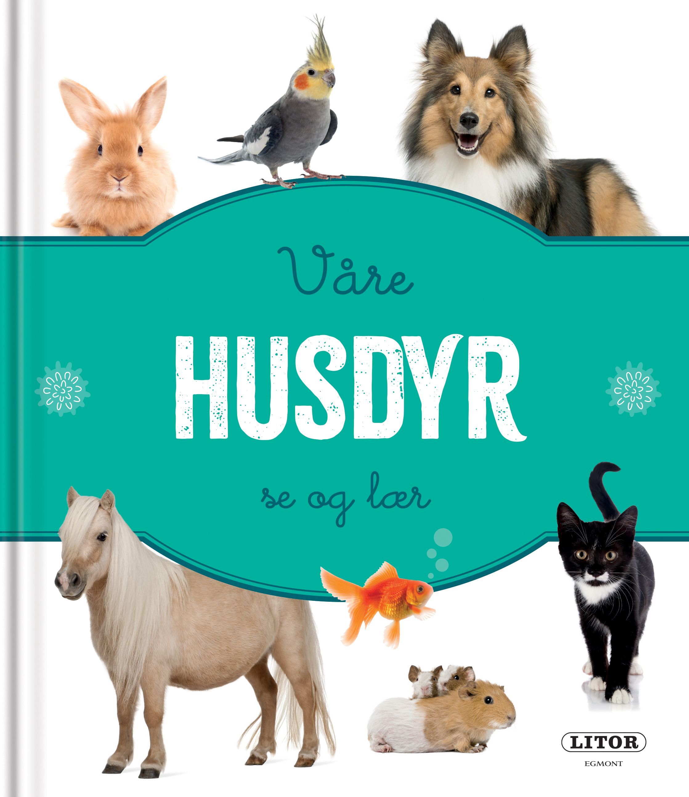 Våre husdyr : se og lær