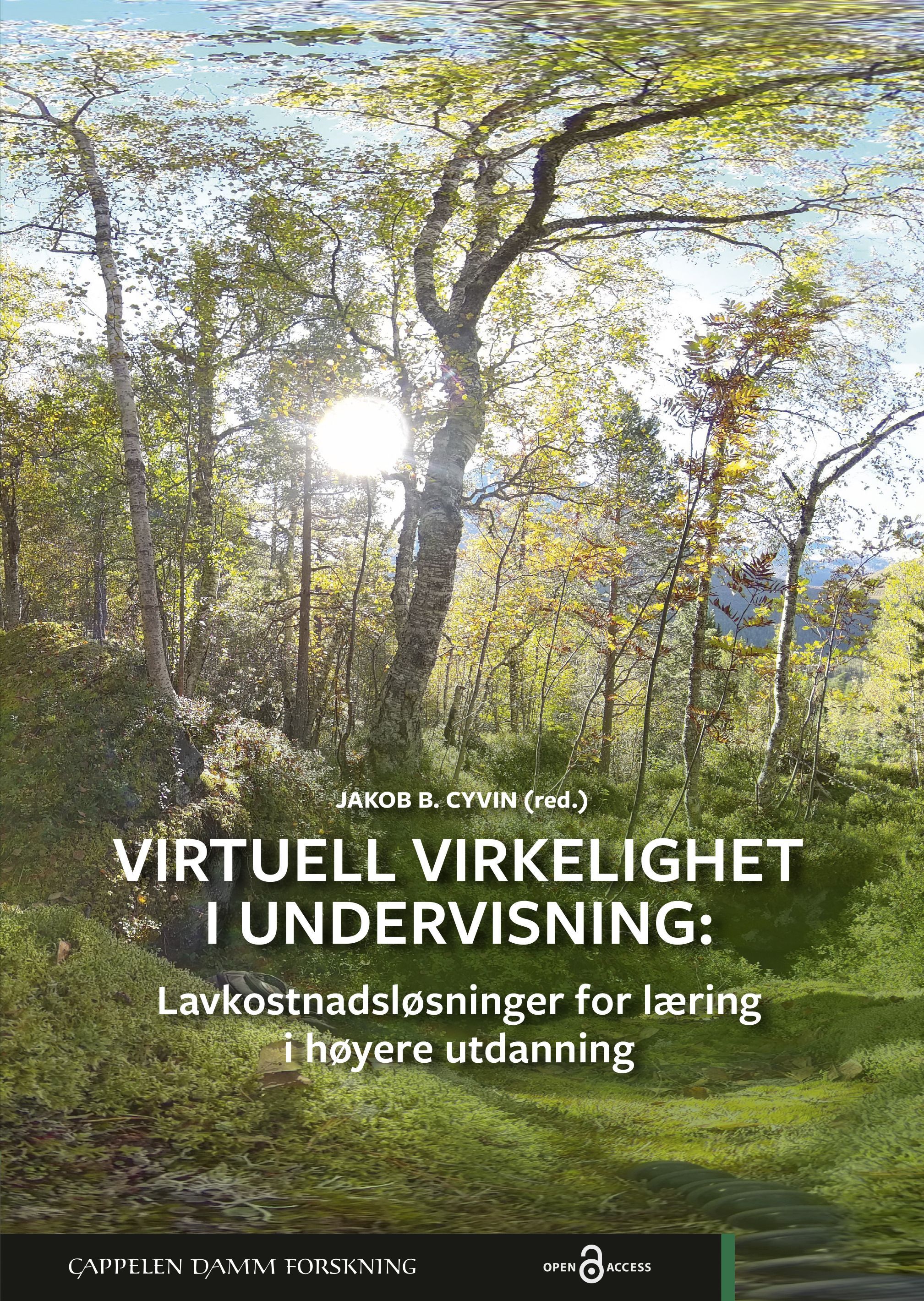 Virtuell virkelighet i undervisning : lavkostnadsløsninger for læring i høyere utdanning