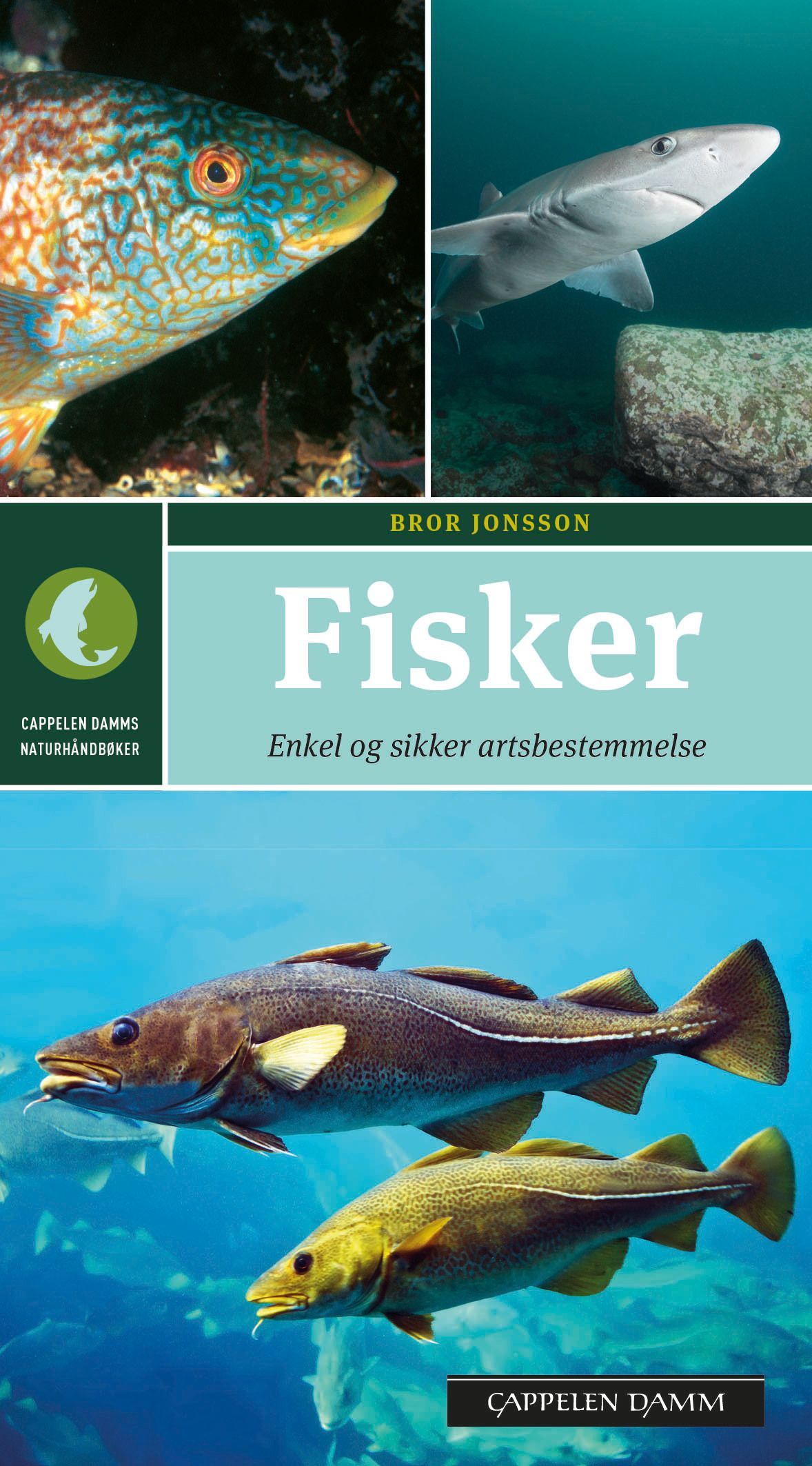 Fisker : enkel og sikker artsbestemmelse