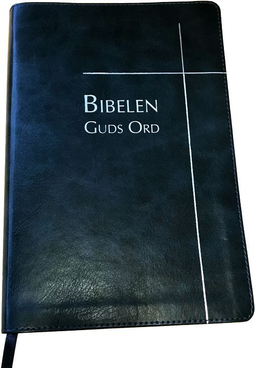 Bibelen : Guds ord