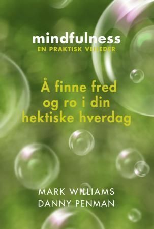 Mindfulness : å finne fred og ro i din hektiske hverdag : en praktisk veileder