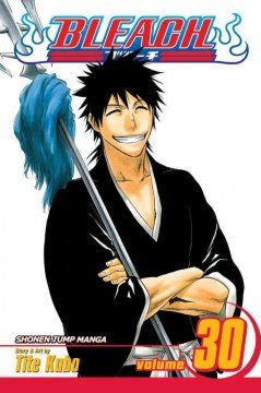 Bleach. vol. 30. There is no heart without you