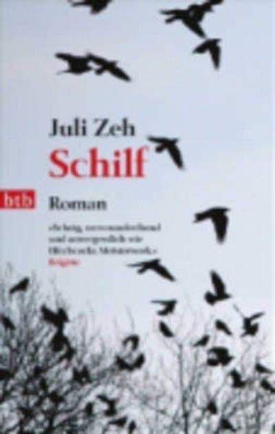 Schilf : Roman