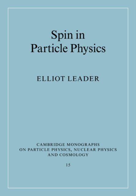 Spin in Particle Physics
