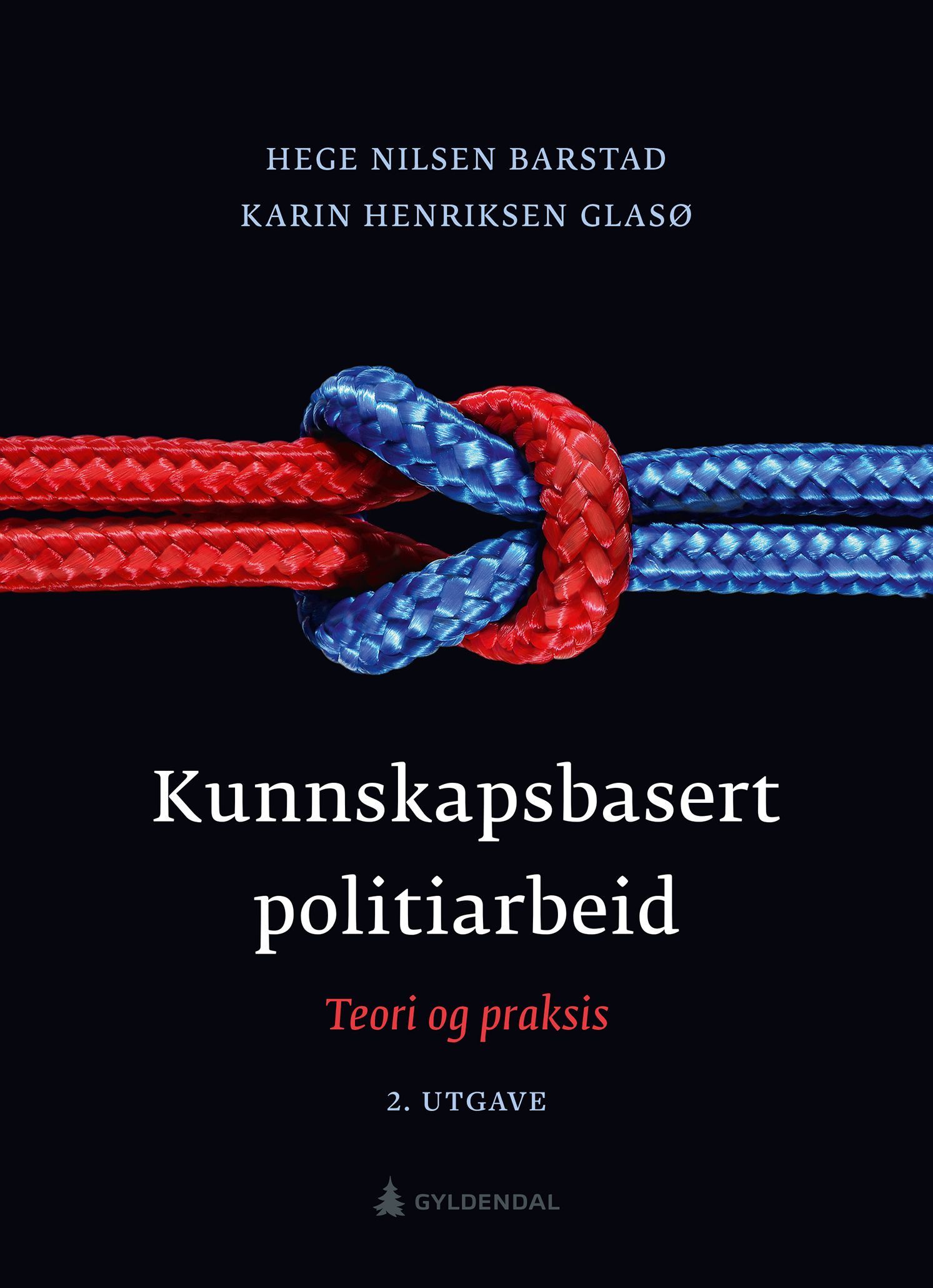 Kunnskapsbasert politiarbeid : teori og praksis