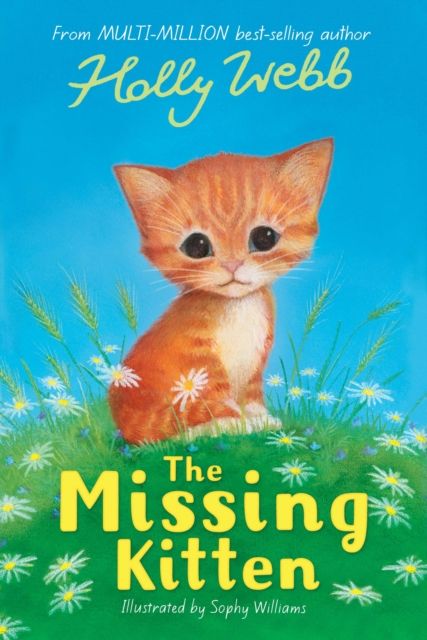 The missing kitten