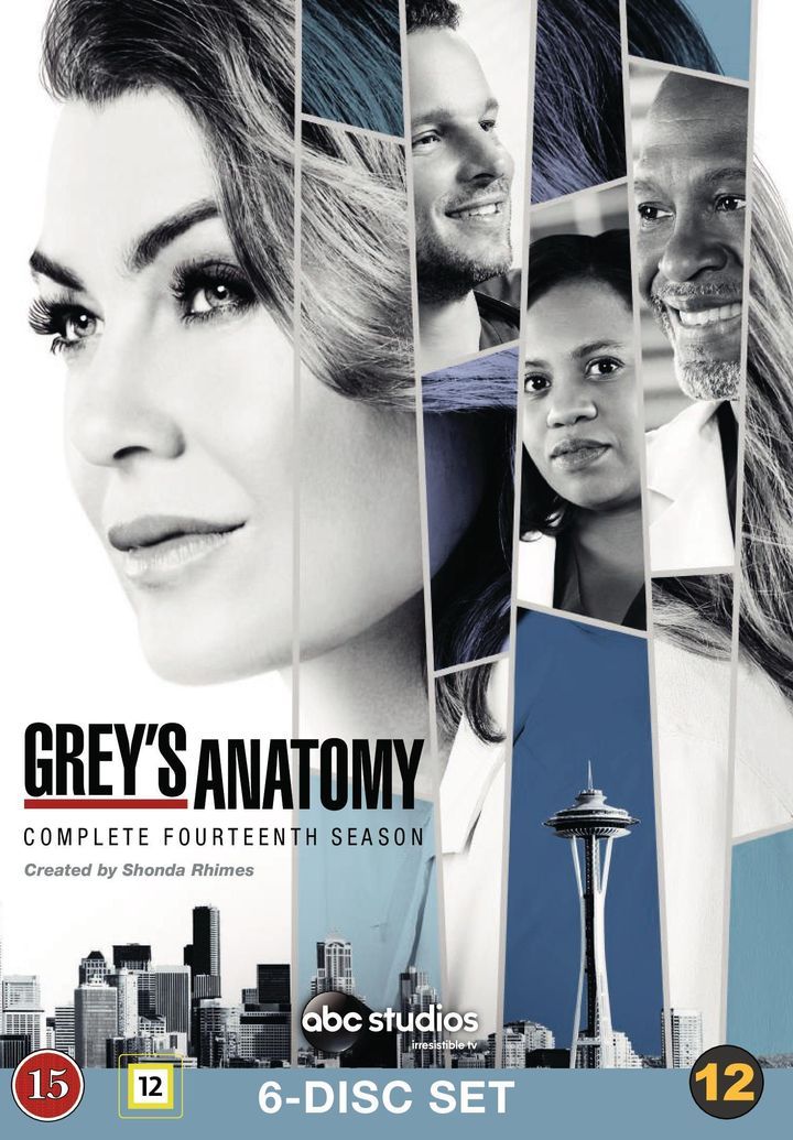 Grey's anatomy. Complete fourteenth season