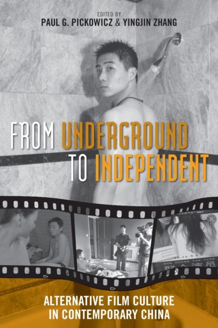 From Underground to Independent : Alternative Film Culture in Contemporary China