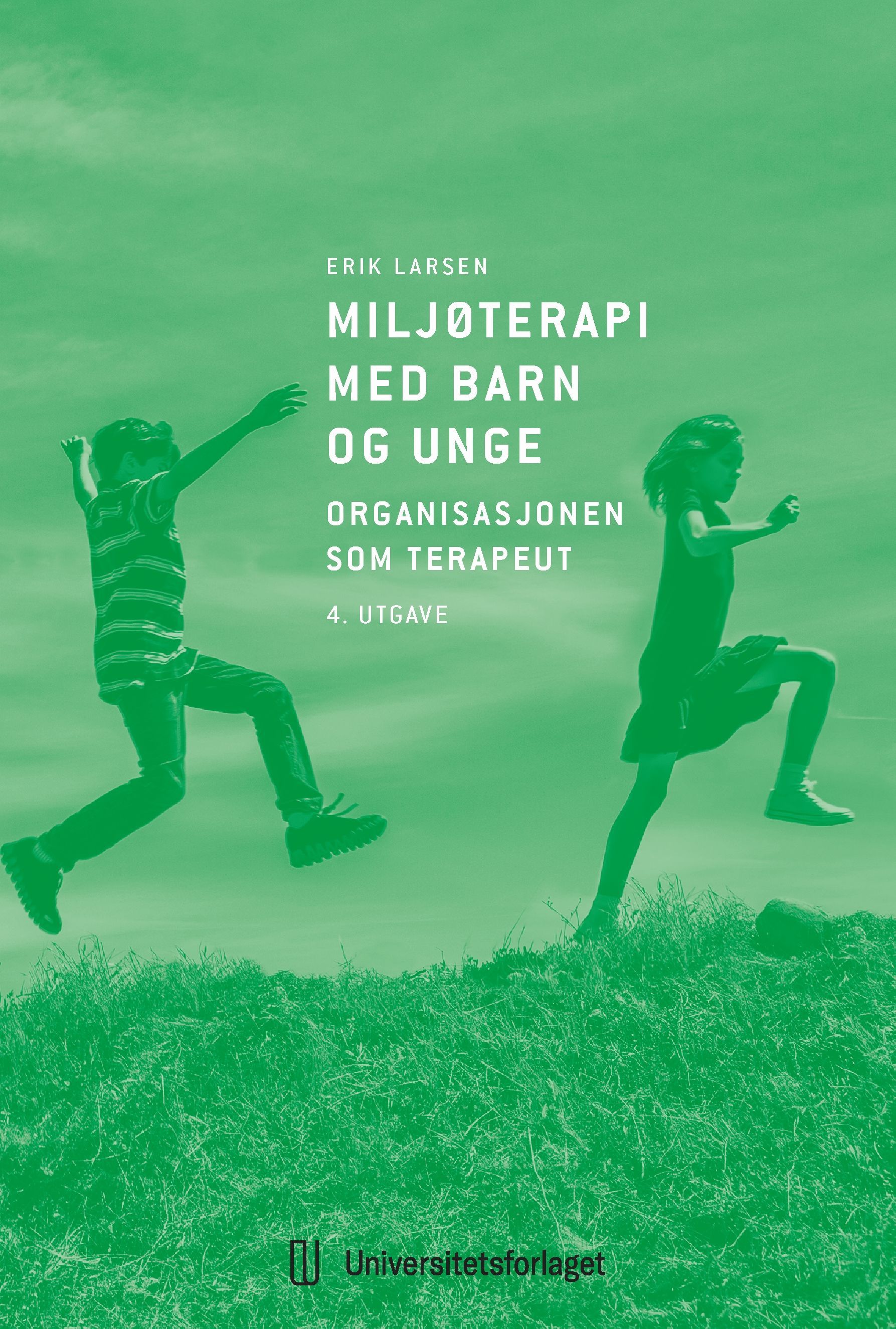Miljøterapi med barn og unge : organisasjonen som terapeut