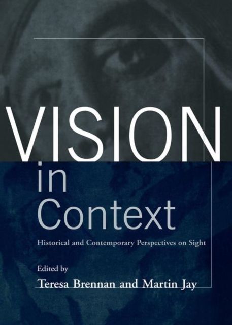 Vision in Context : Historical and Contemporary Perspectives on Sight