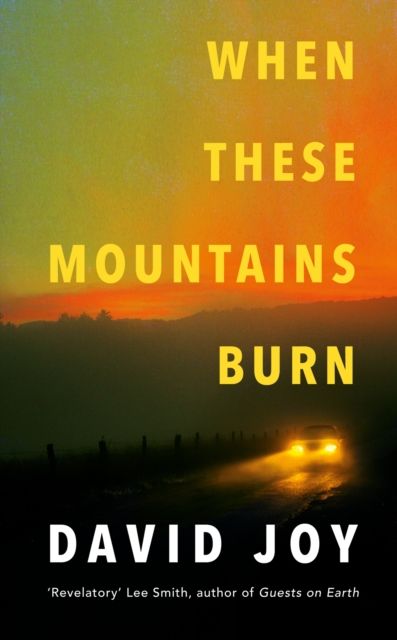 When These Mountains Burn : The literary crime thriller from the prizewinning master of American noir fiction