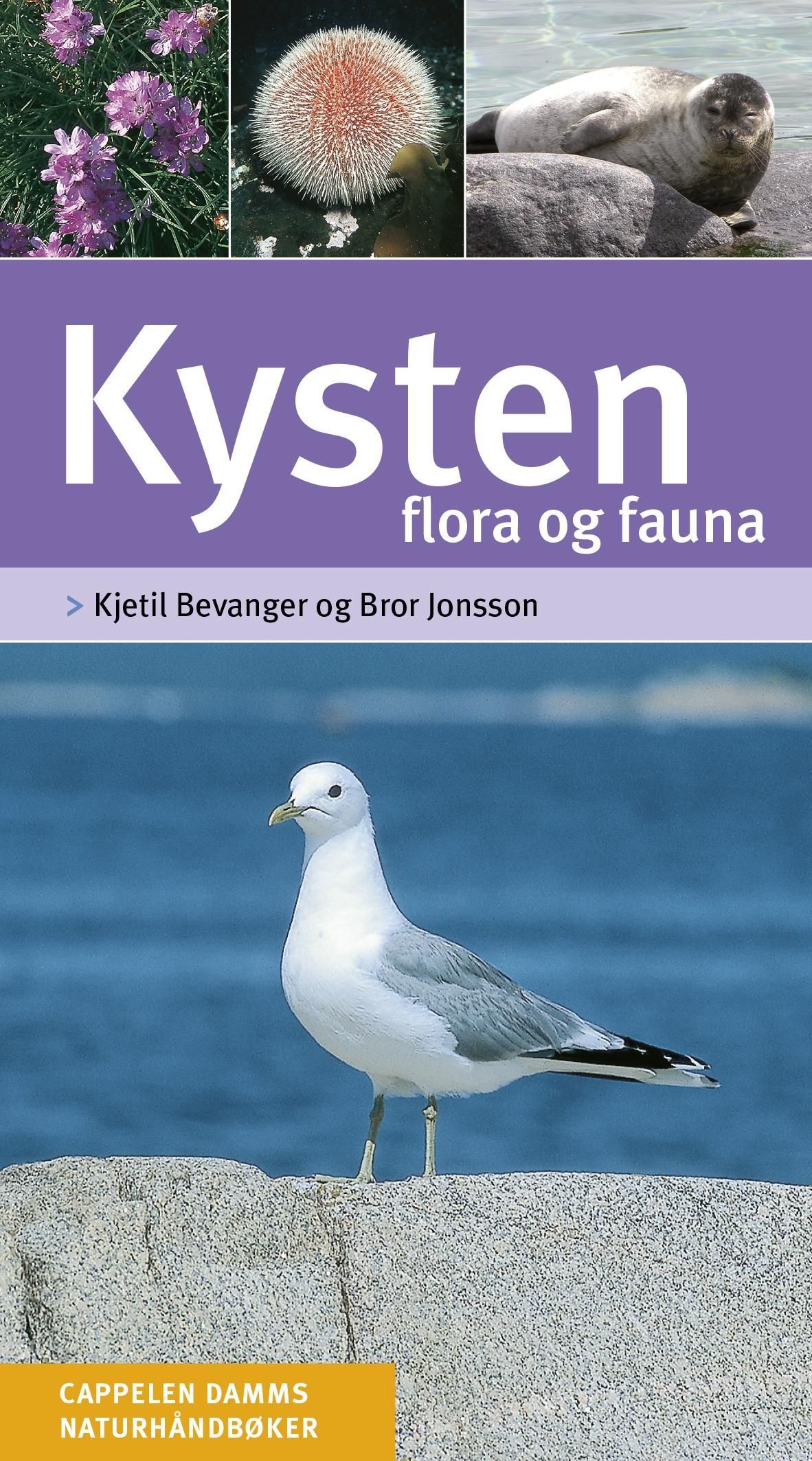 Kysten : flora og fauna