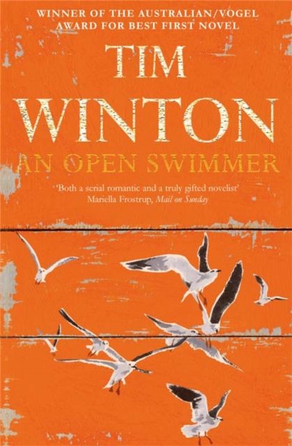 Forsidebilde av An Open Swimmer