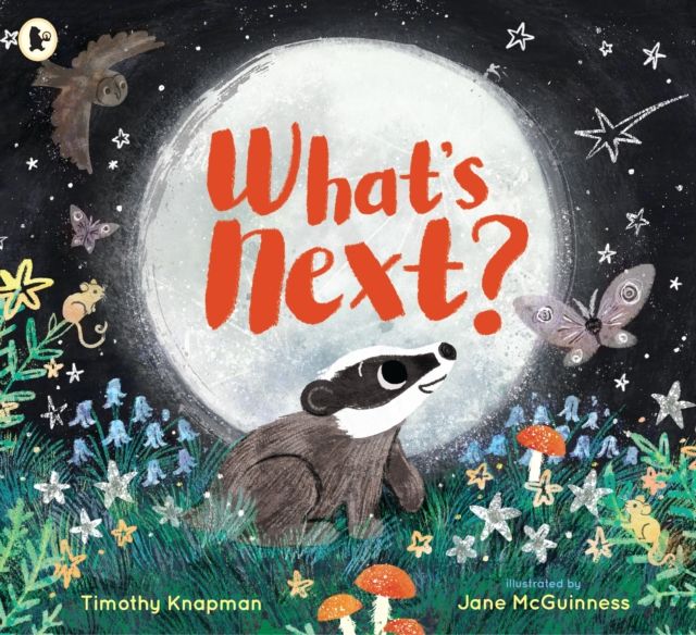 What's Next? : A tender father-and-son adventure for 3-7 year olds to share with Dad, perfect for bedtime