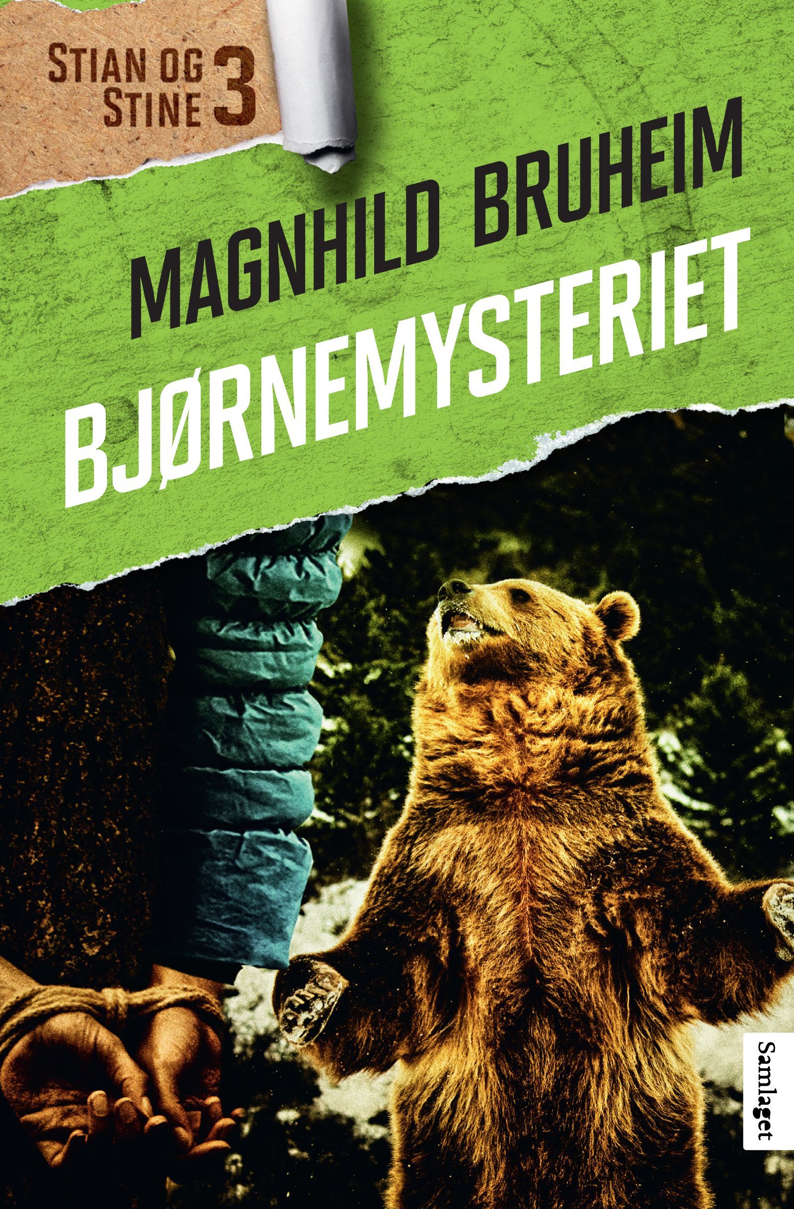 Bjørnemysteriet : roman