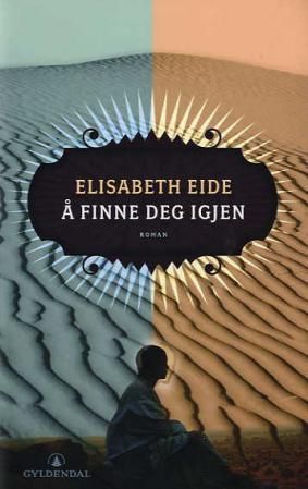 Å finne deg igjen : roman