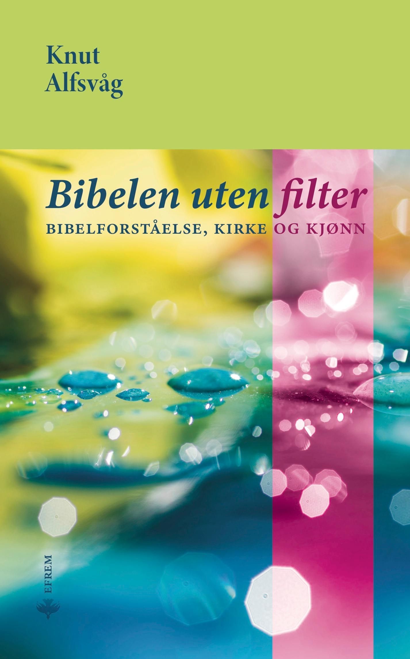 Forsidebilde av Bibelen uten filter : bibelforståelse, kirke og kjønn