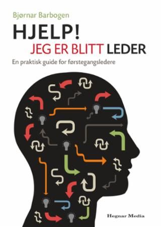 Hjelp! Jeg er blitt leder : en praktisk guide for førstegangsledere