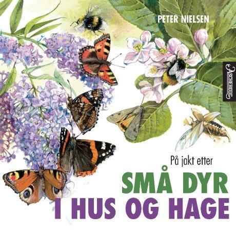 På jakt etter små dyr i hus og hage