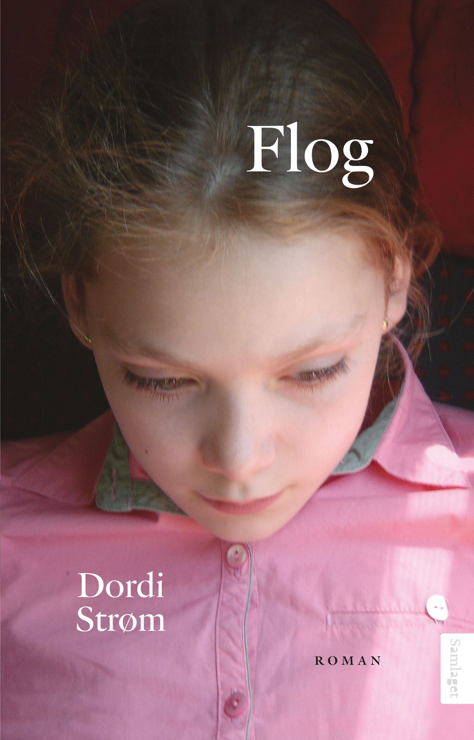 Flog : roman