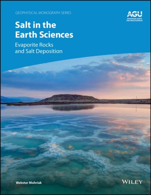 Salt in the Earth Sciences : Evaporite Rocks and Salt Deposition