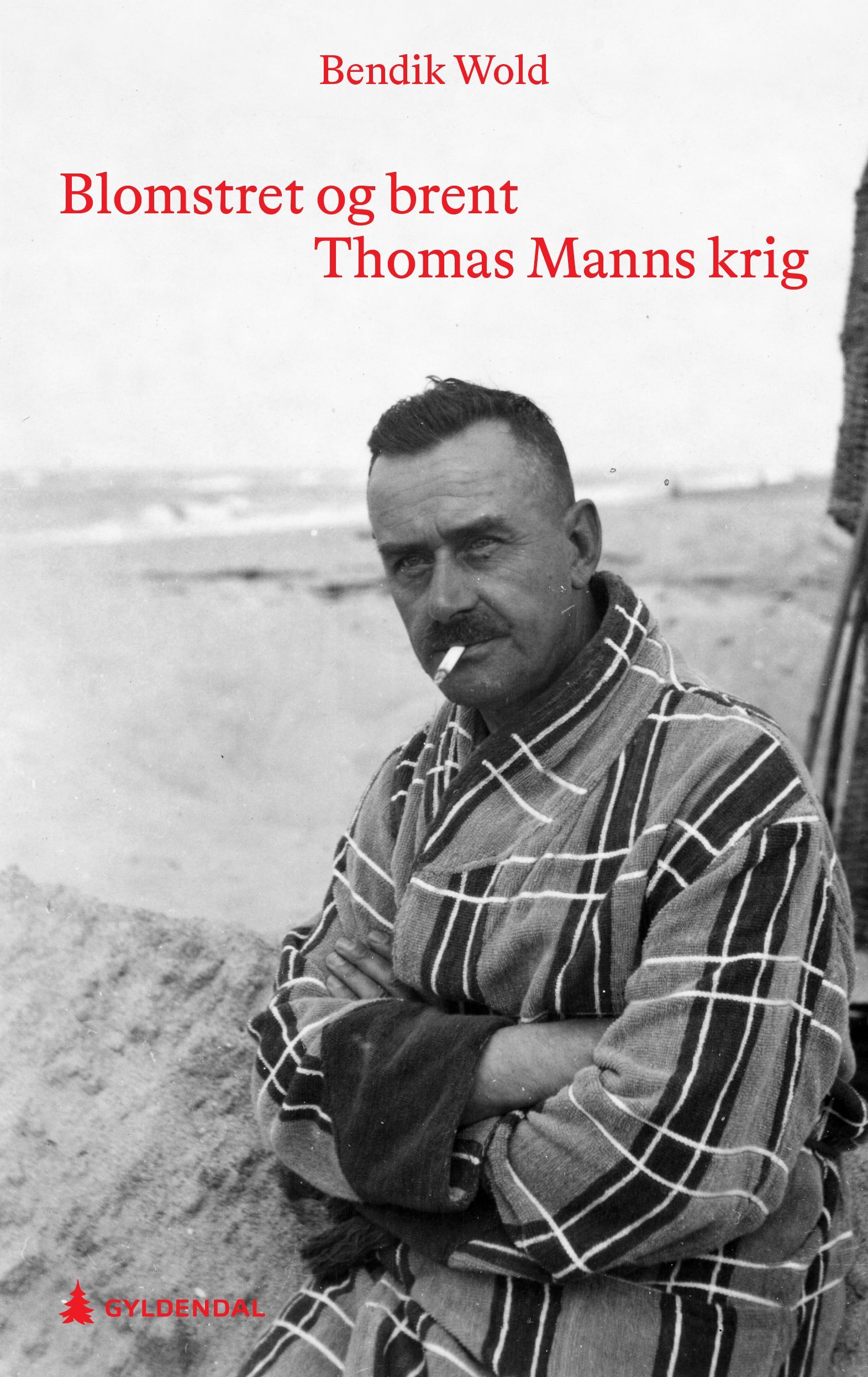 Blomstret og brent : Thomas Manns krig