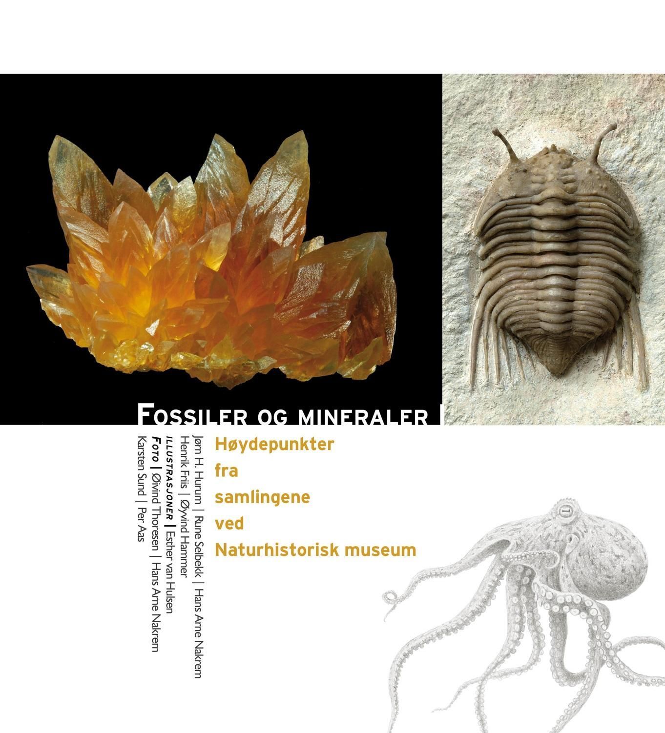 Fossiler og mineraler : høydepunkter fra samlingene ved Naturhistorisk museum