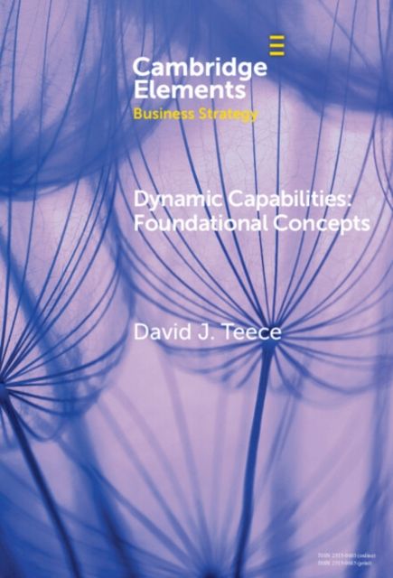 Dynamic Capabilities : Foundational Concepts
