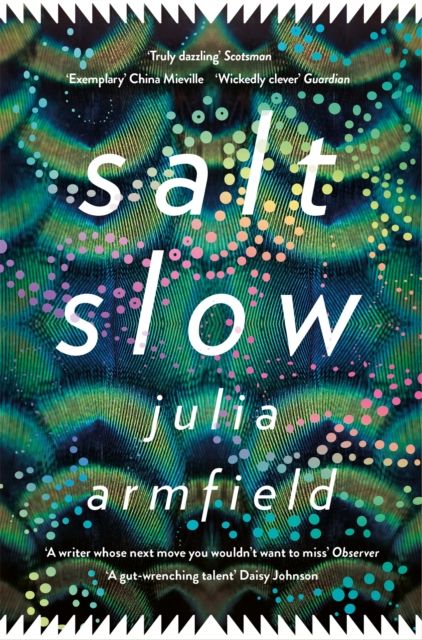 Forsidebilde av Salt slow