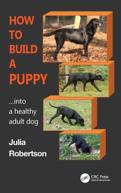 Forsidebilde av How to Build a Puppy : Into a Healthy Adult Dog