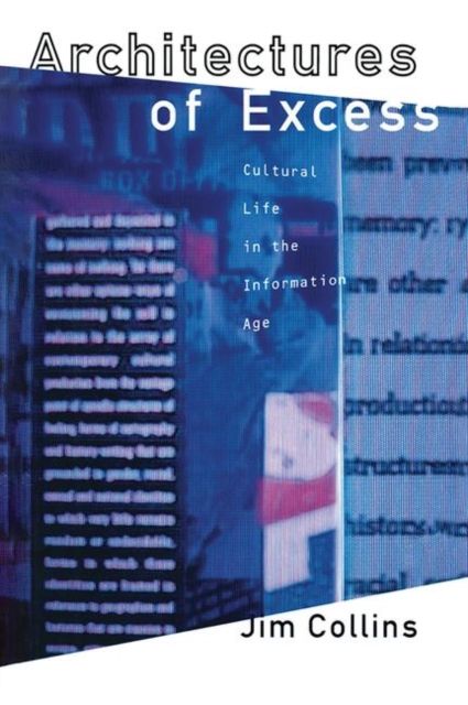 Architectures of Excess : Cultural Life in the Information Age