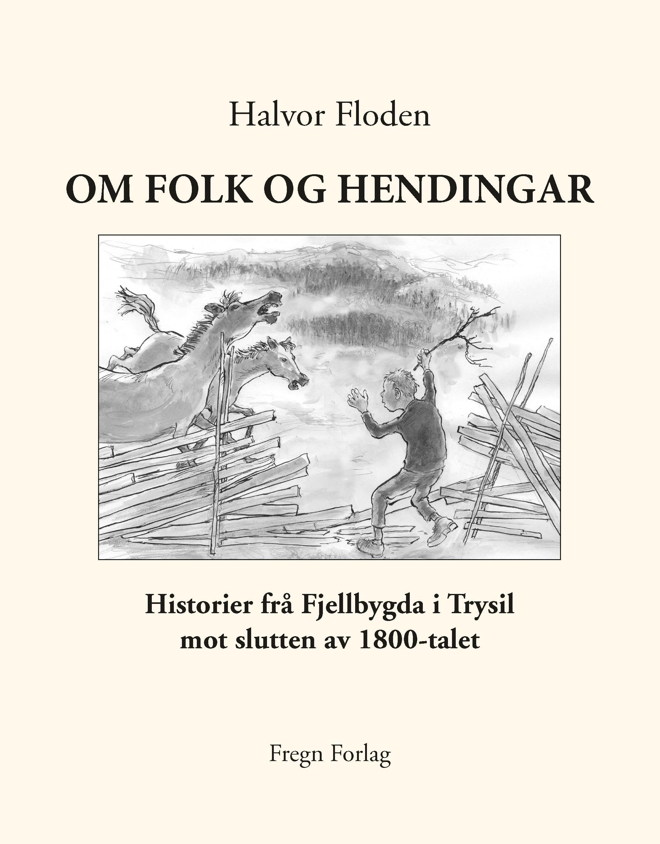 Om folk og hendingar : historier frå Fjellbygda i Trysil mot slutten av 1800-talet