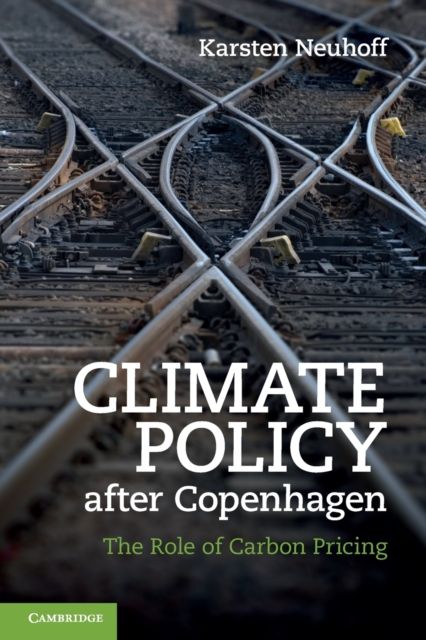 Climate Policy after Copenhagen : The Role of Carbon Pricing