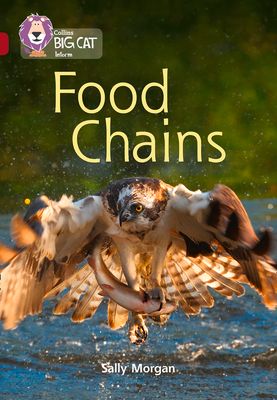 Food Chains : Band 14/Ruby