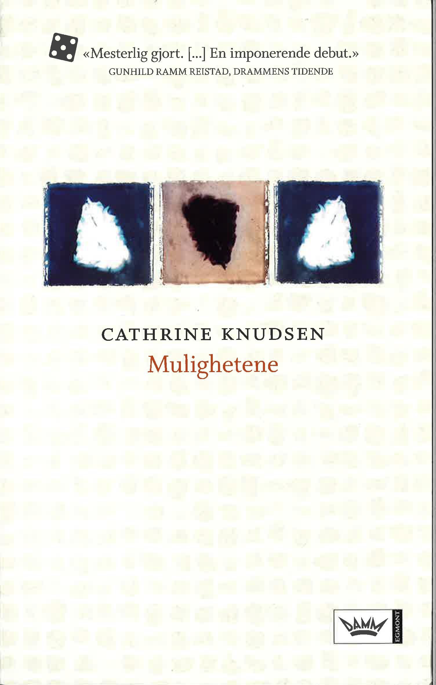 Forsidebilde av Mulighetene