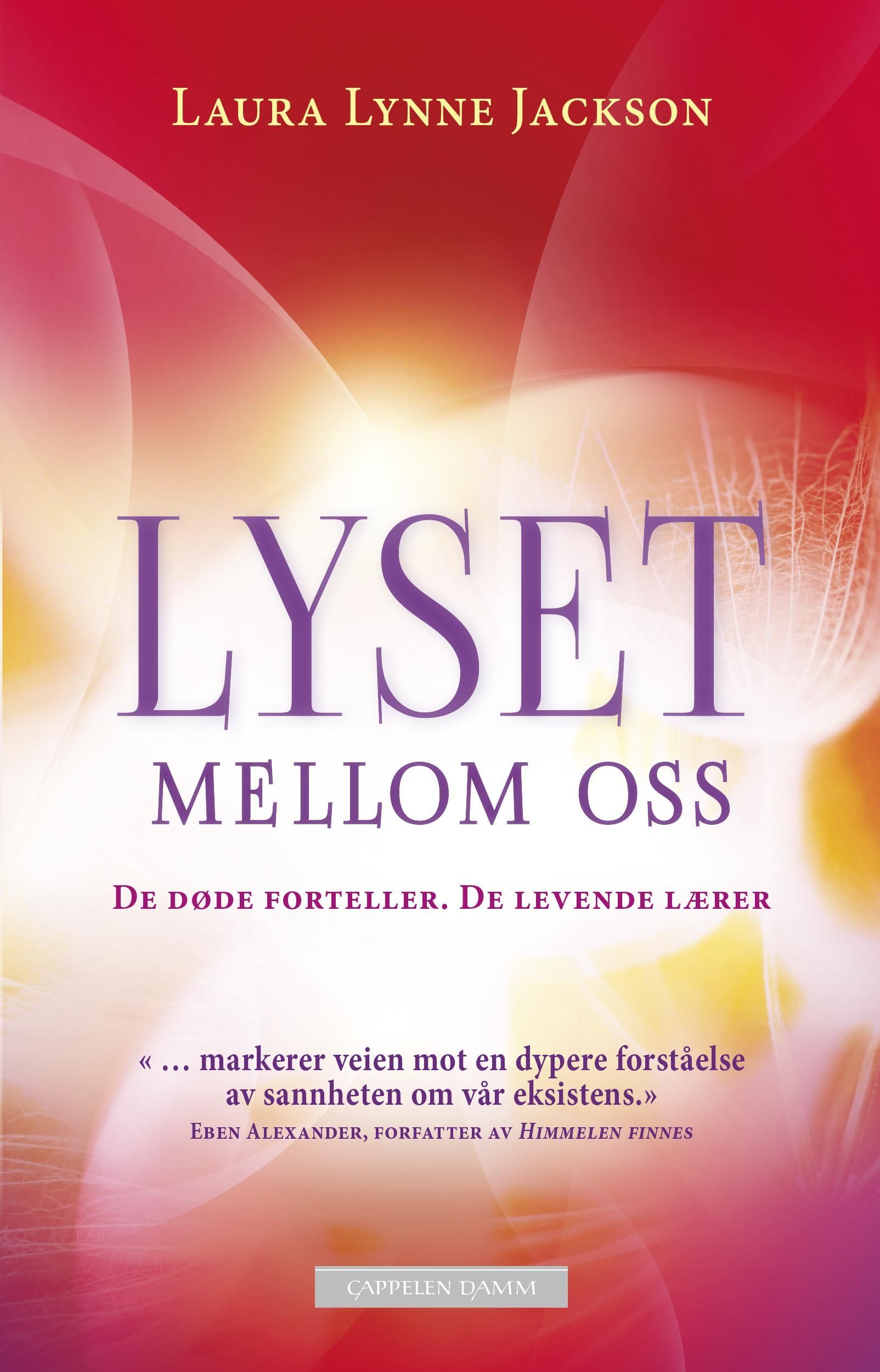 Forsidebilde av Lyset mellom oss : de døde forteller, de levende lærer