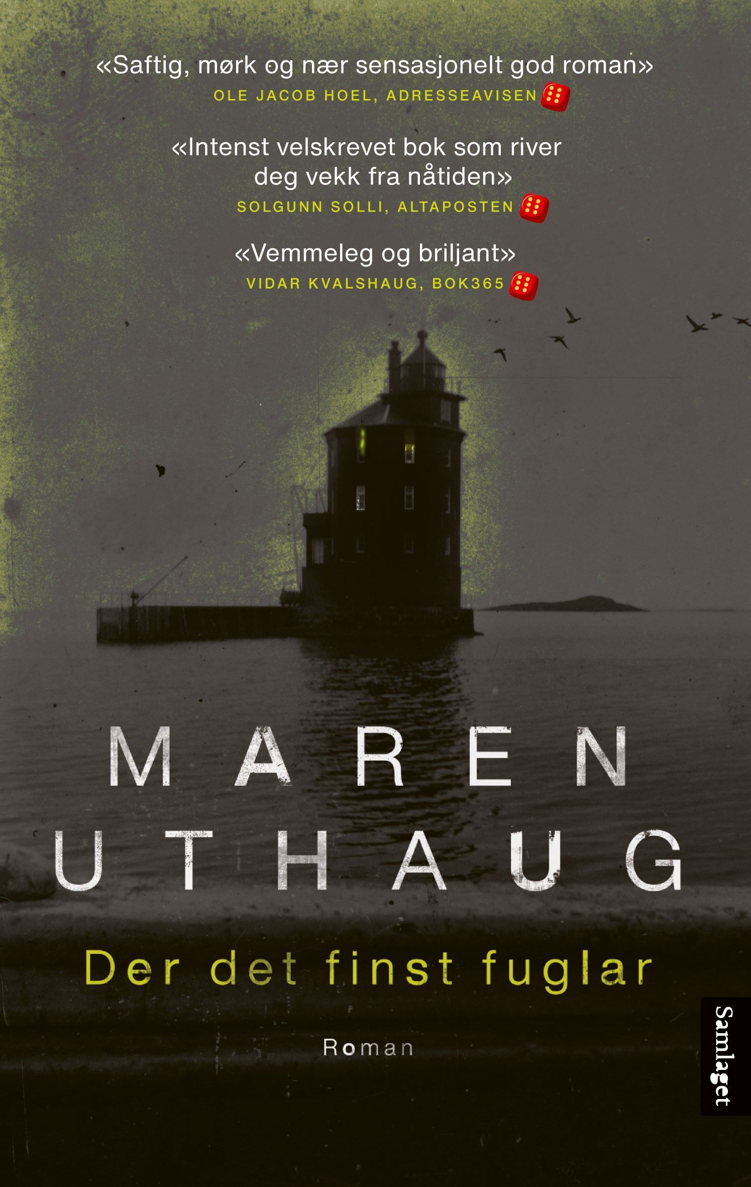Der det finst fuglar : roman