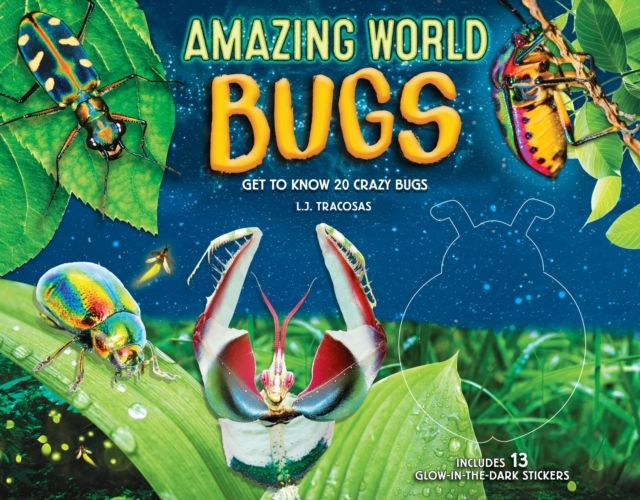 Amazing World: Bugs : Get to know 20 crazy bugs