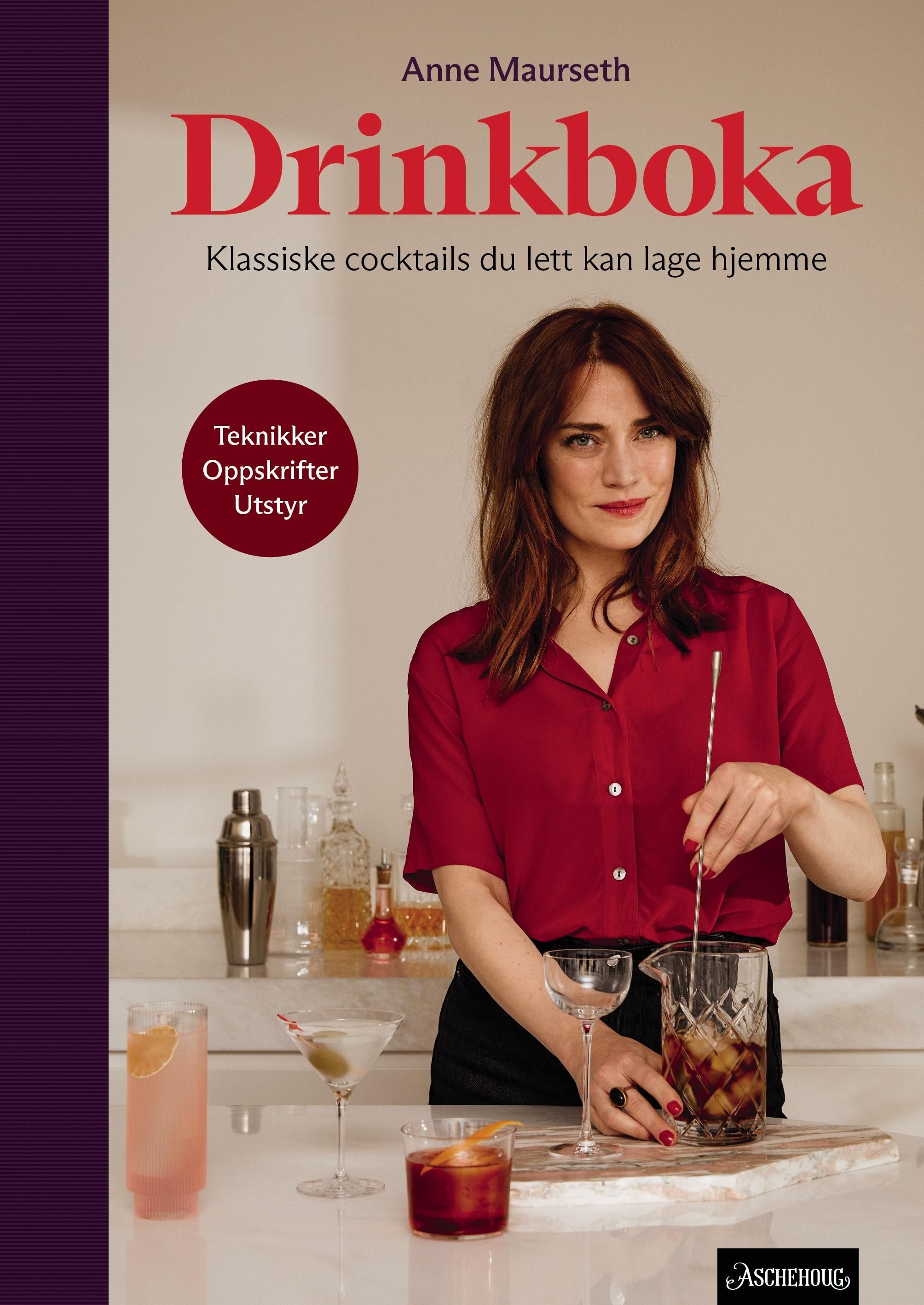 Drinkboka : klassiske cocktails du lett kan lage hjemme