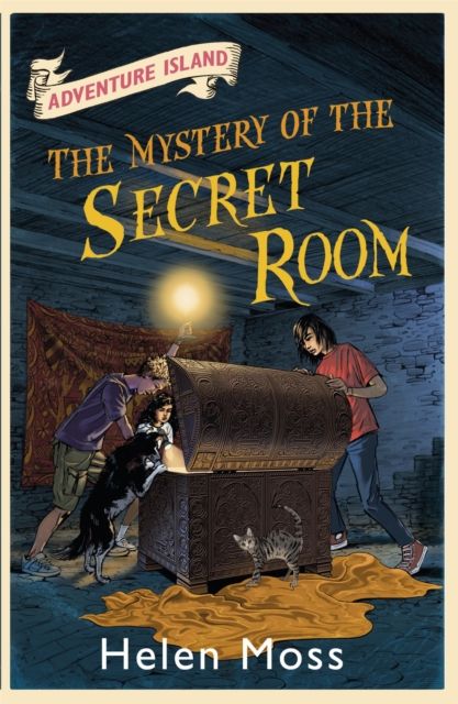 The mystery of the secret room