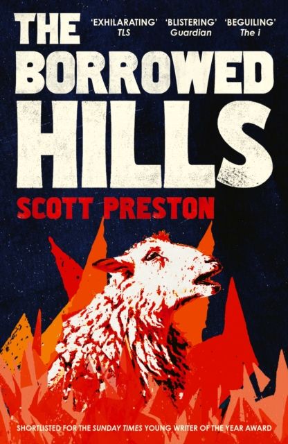 The Borrowed Hills : 'A sucker-punch of a novel' Guardian