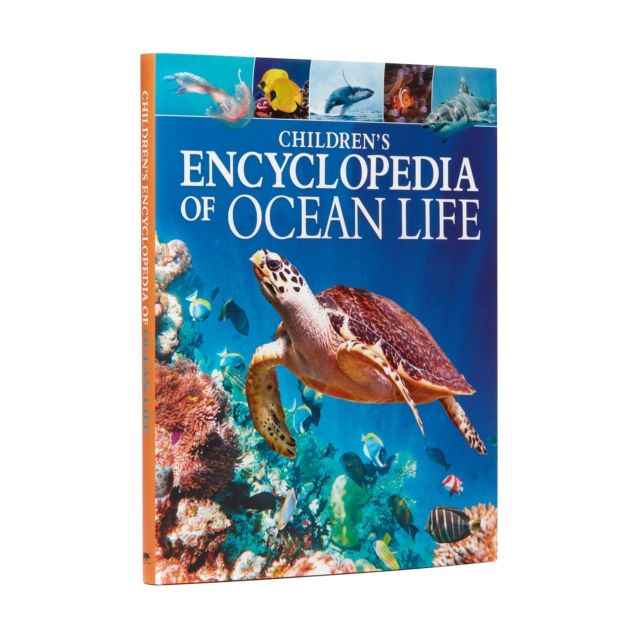 Children's Encyclopedia of Ocean Life : A Deep Dive into Our World's Oceans