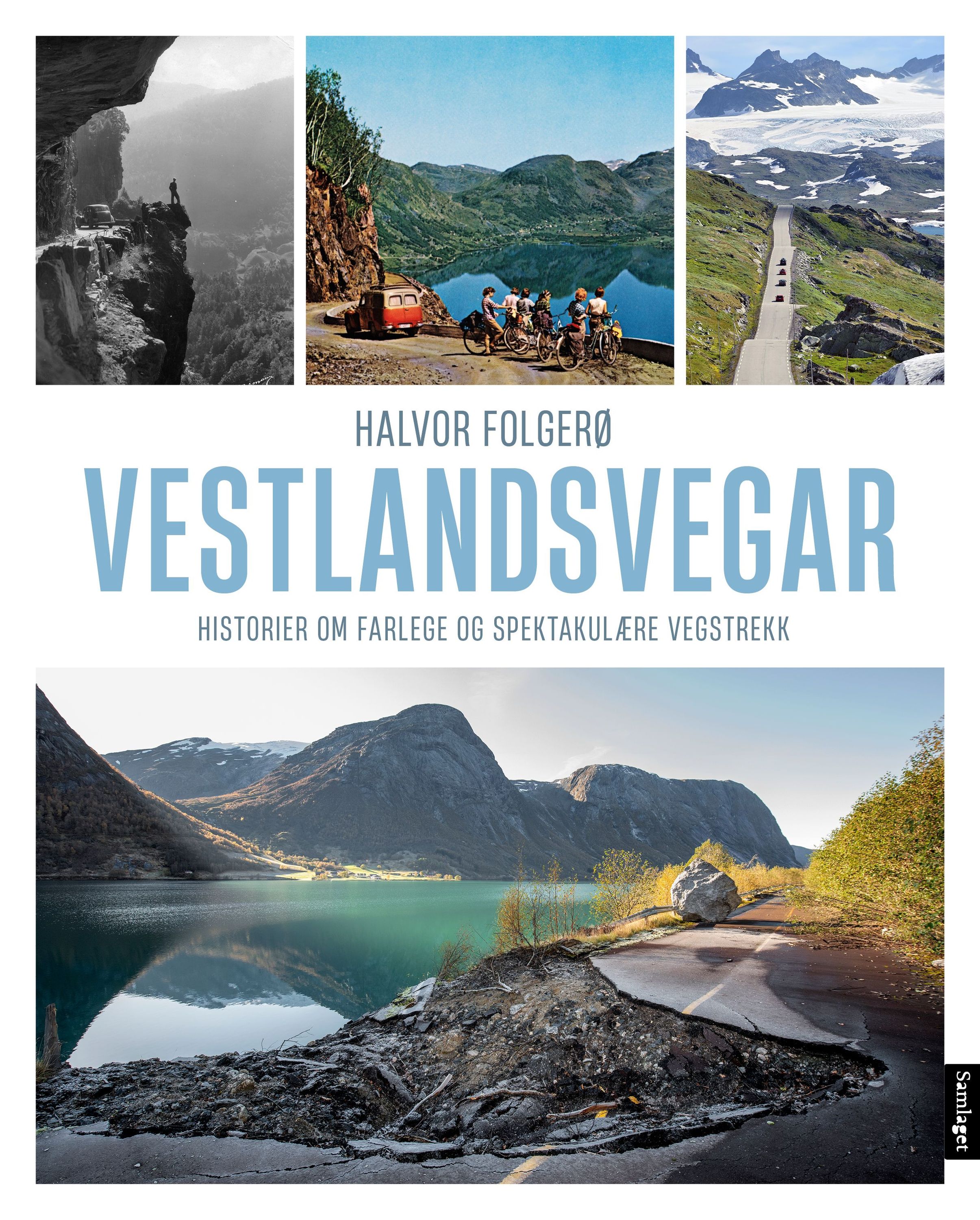 Vestlandsvegar : historier om farlege og spektakulære vegstrekk