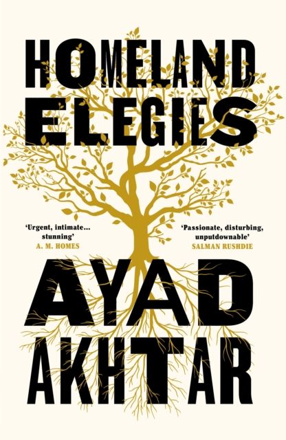 Forsidebilde av Homeland Elegies : A Barack Obama Favourite Book