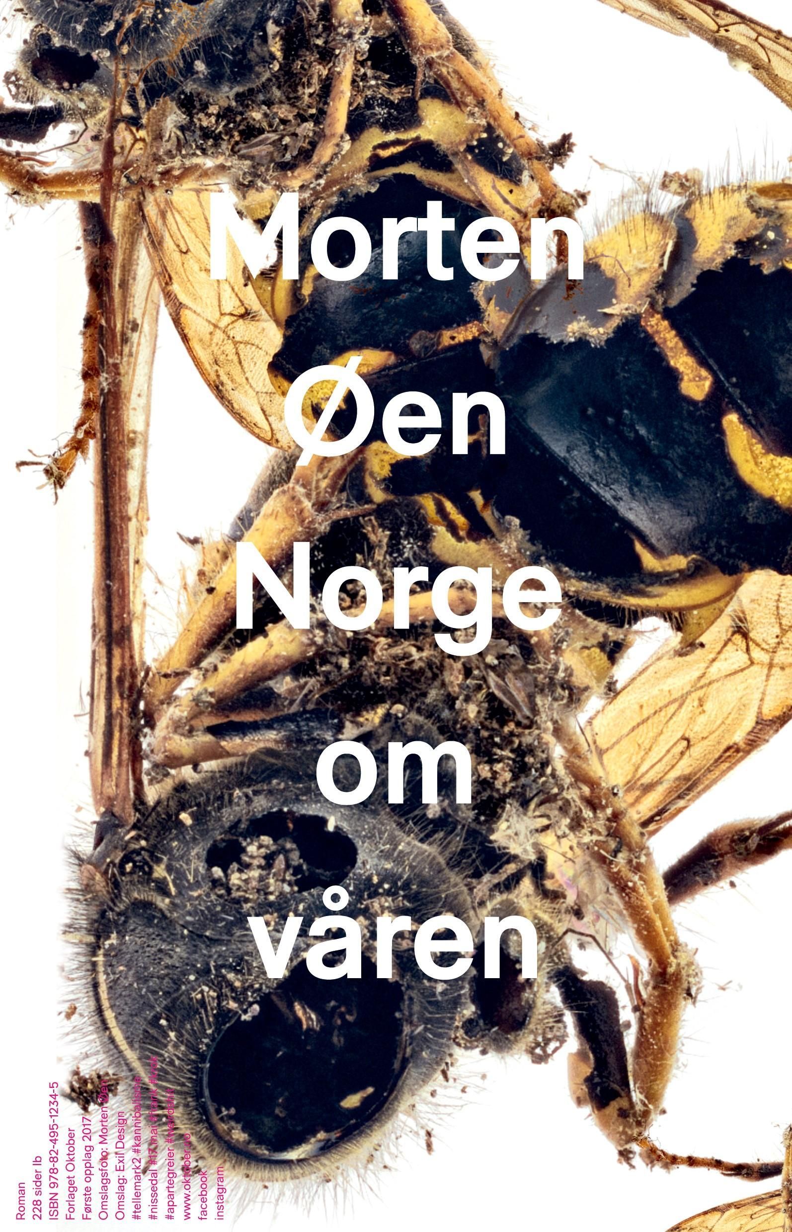 Norge om våren : roman