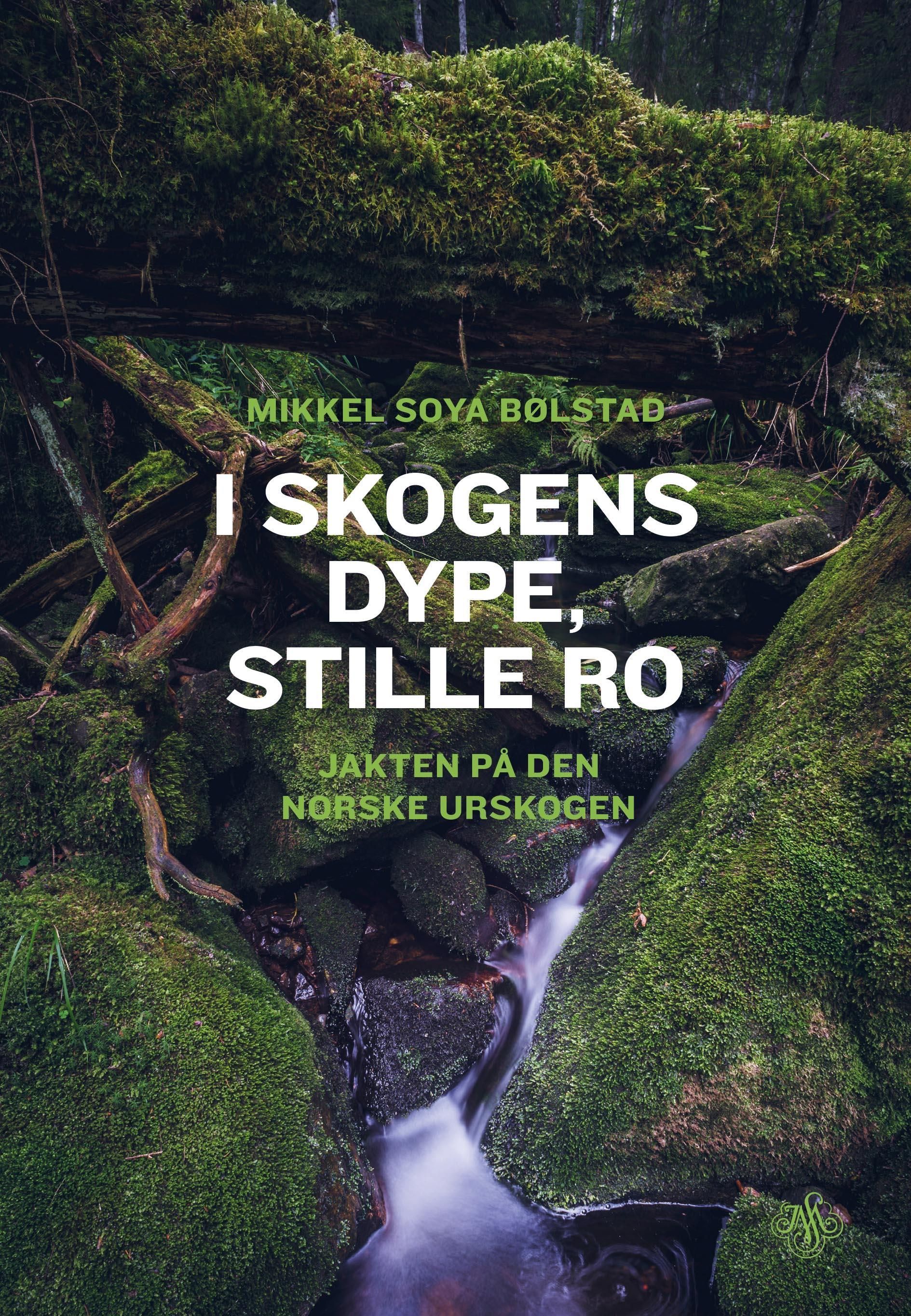 I skogens dype, stille ro : jakten på den norske urskogen