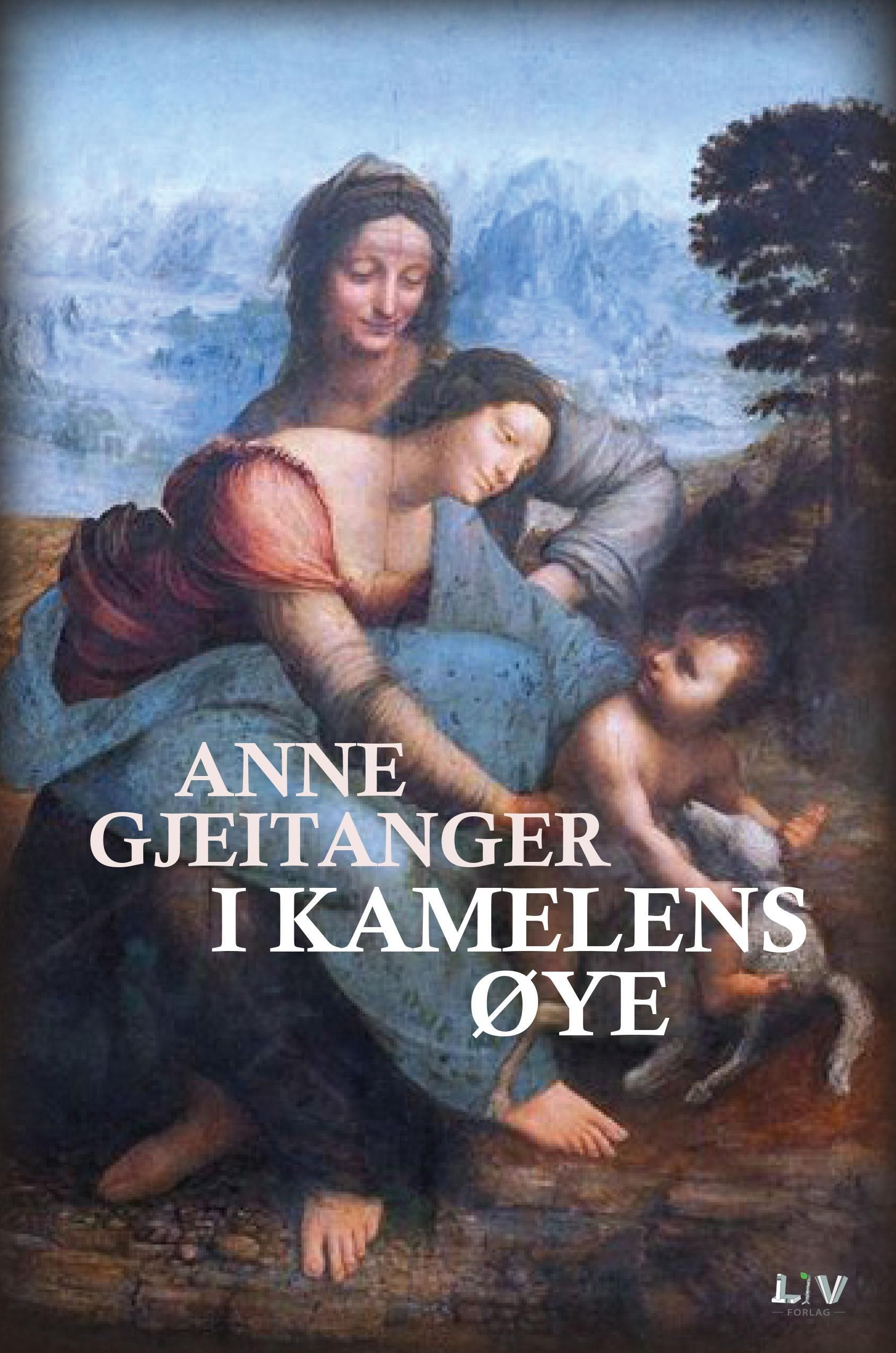 Forsidebilde av I kamelens øye