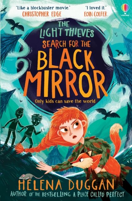 Search for the black mirror
